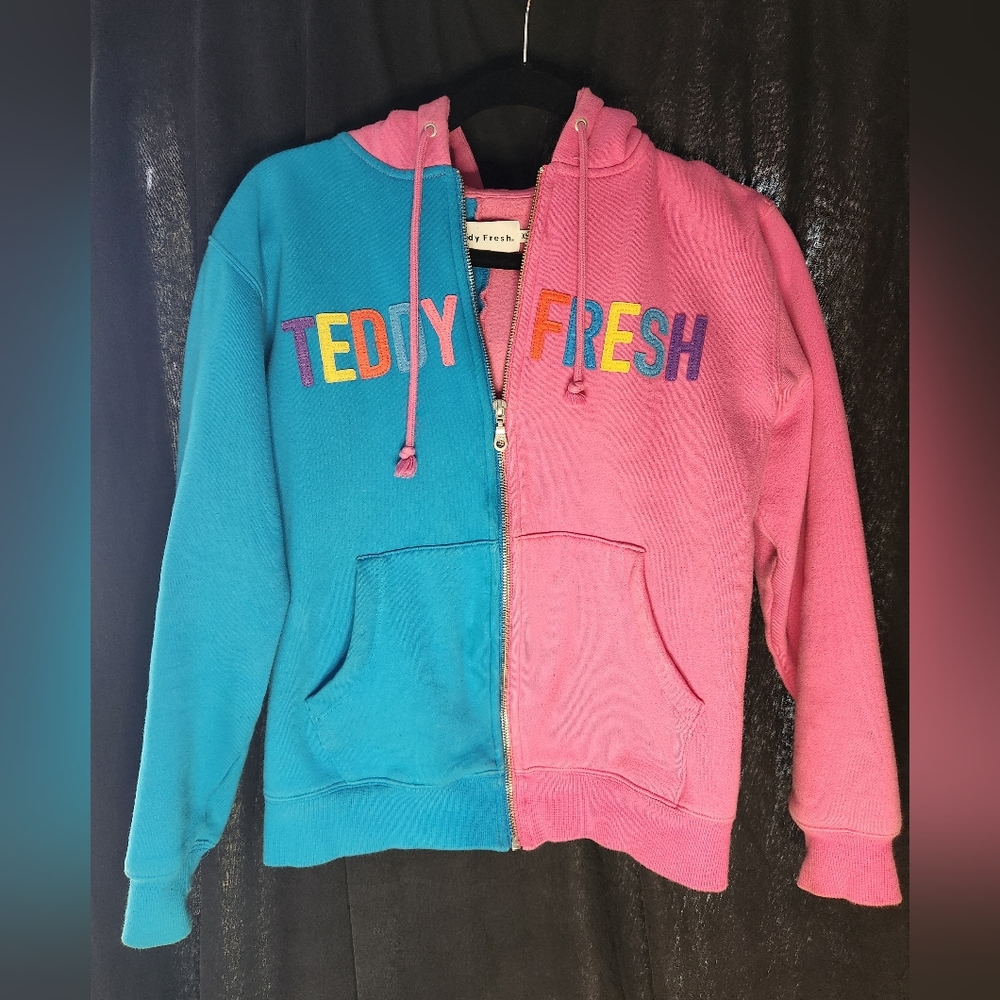 Teddy Fresh Unisex Colorblock Hoodie (XS)